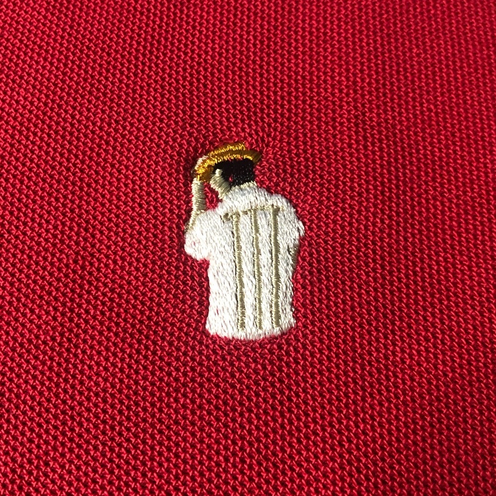 Polo - Picture 3 of 3